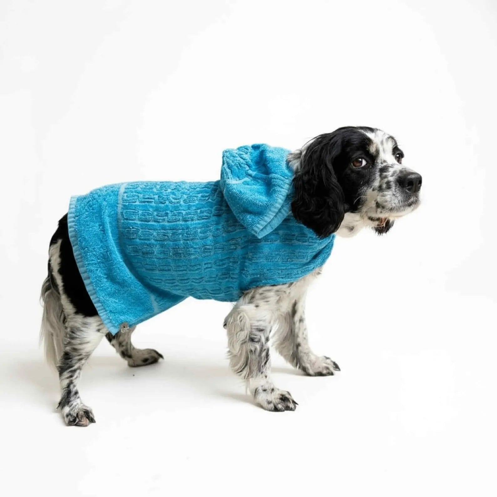 Retro Vintage Handmade Towelling Dog Jackets Large