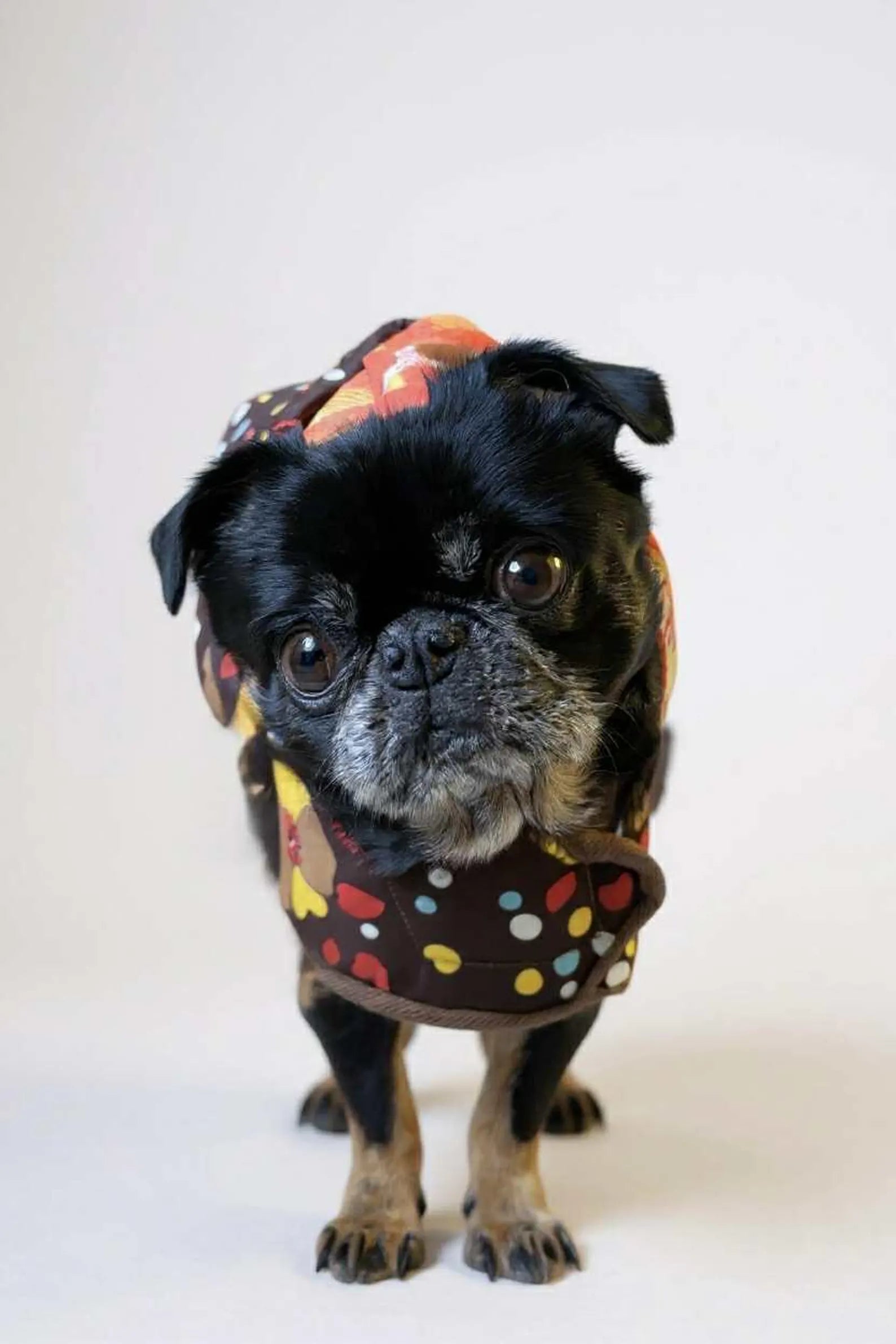 Reversible Upcycled Retro Dog Jacket Sleeping Bag Coat