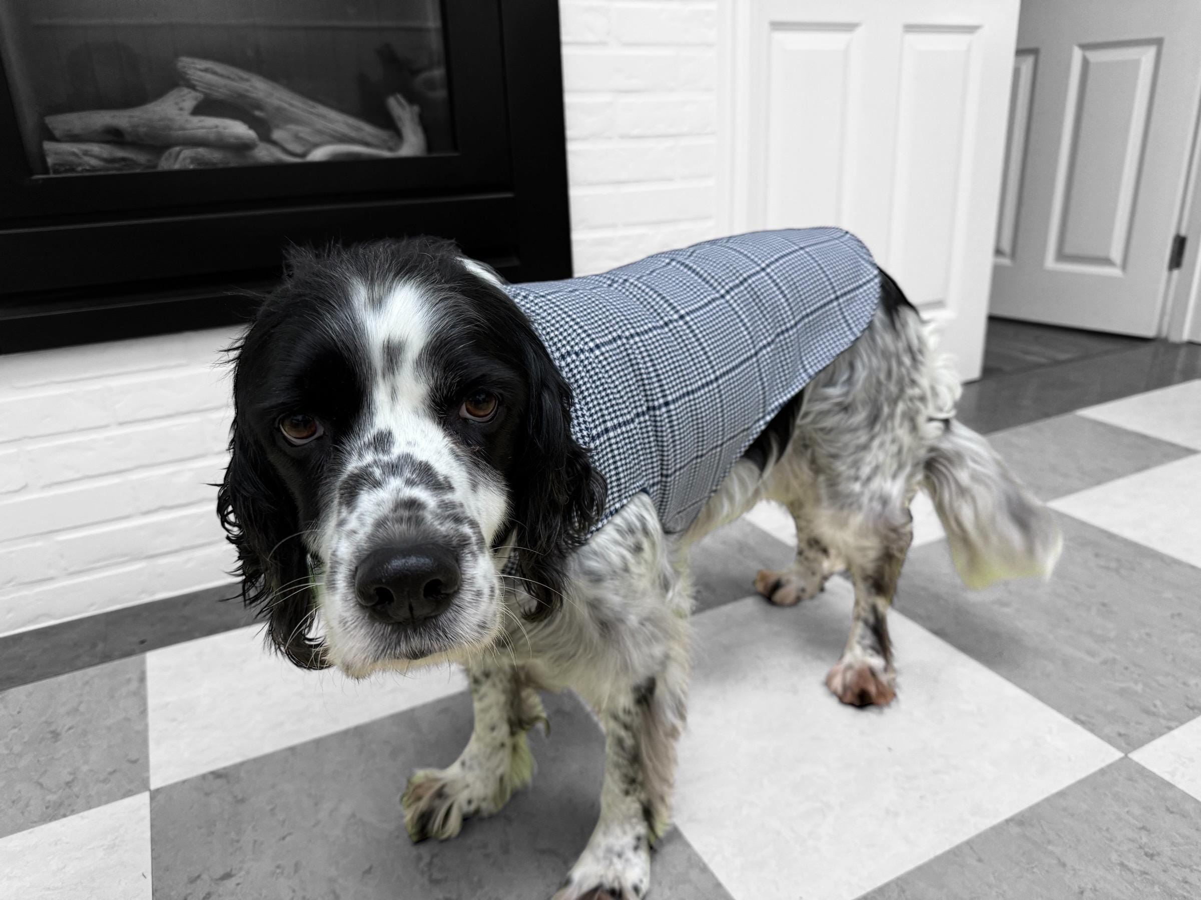 Upcycled Retro 60s Fabric Dog Jacket Coat