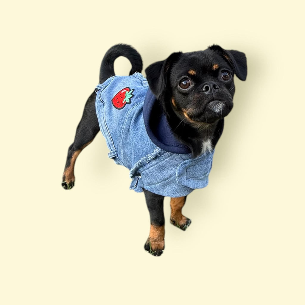 Upcycled Vintage Handmade Denim Dog Jacket - Small