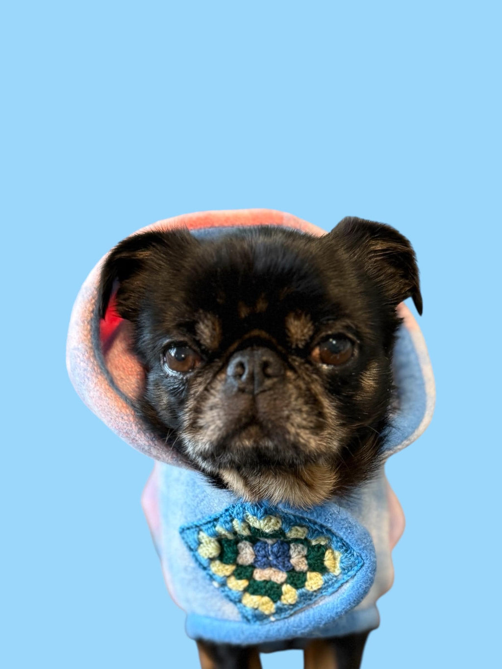 Upcycled Wool Blanket Coat with Crochet Patch Dog Jacket - Small