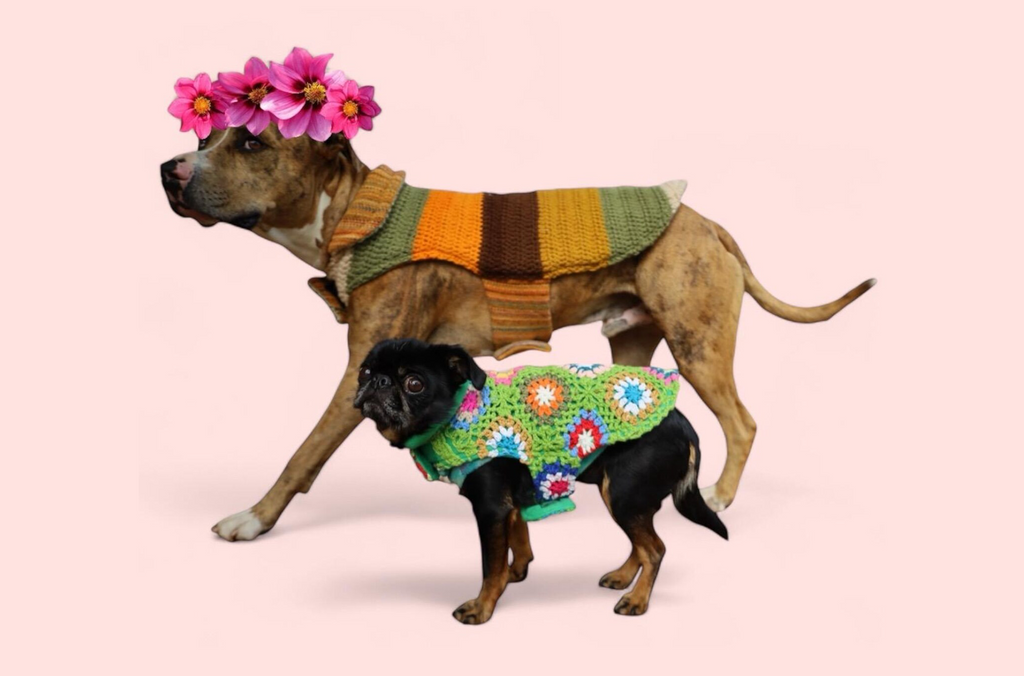 Vintage Homemade Woollen Dog Jacket