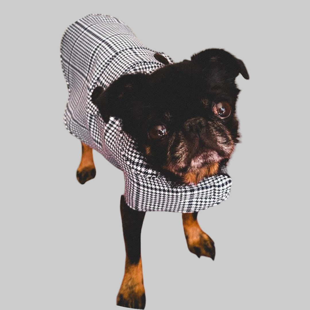 Retro Handmade 60s Fabric Dog Jacket
