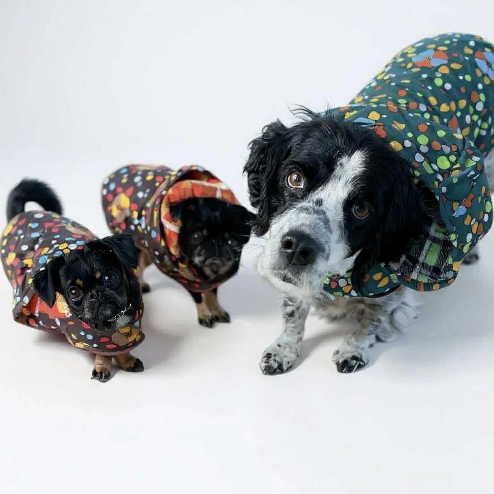 Reversible Upcycled Retro Dog Jacket Sleeping Bag Coat