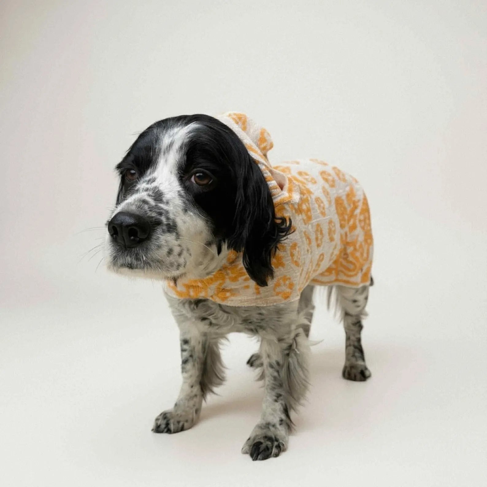 Retro Vintage Handmade Towelling Dog Jackets - Large